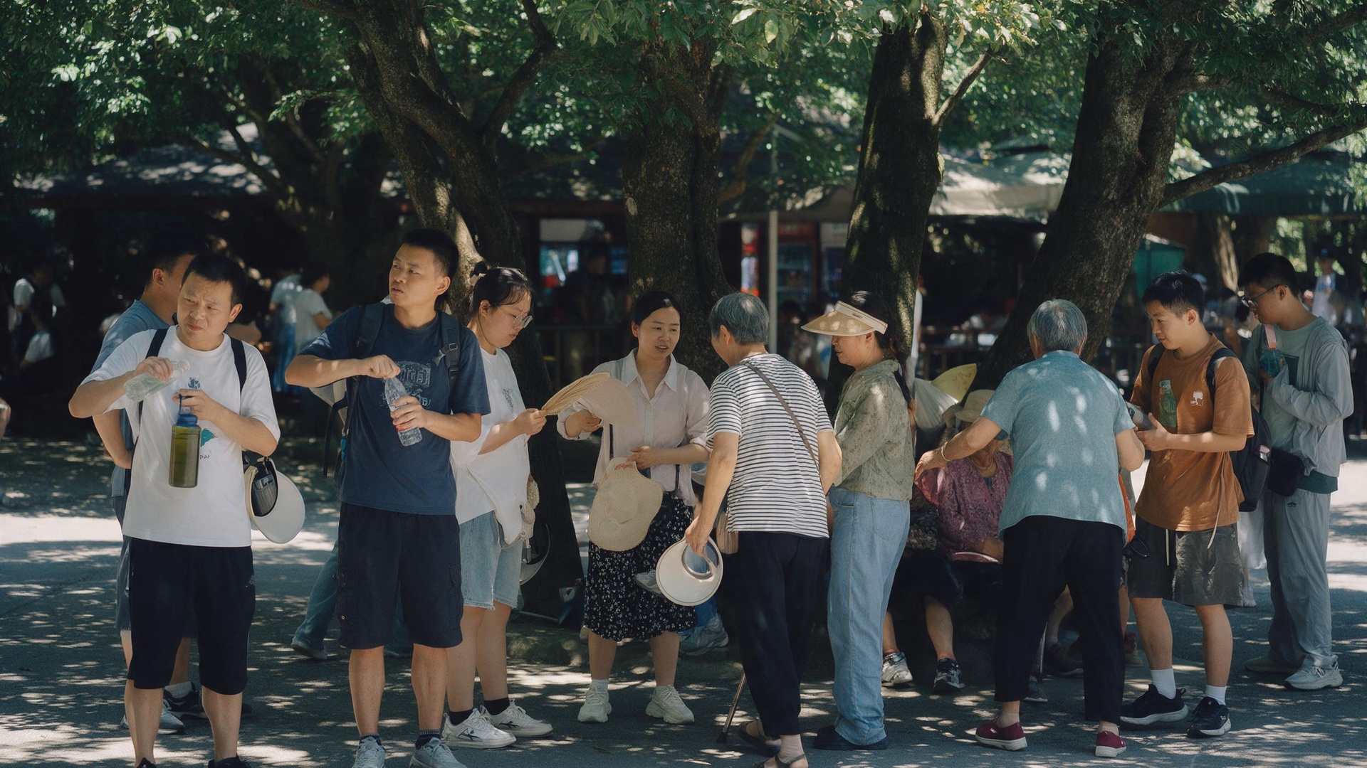 树荫下乘凉歇脚的游客